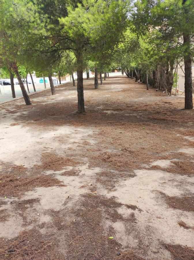 Apartamento Completo, Mascotas Aceptadas Arenales del Sol Buitenkant foto
